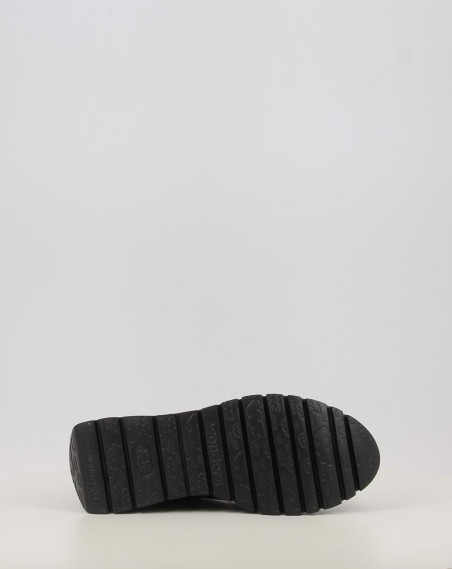 A 2491