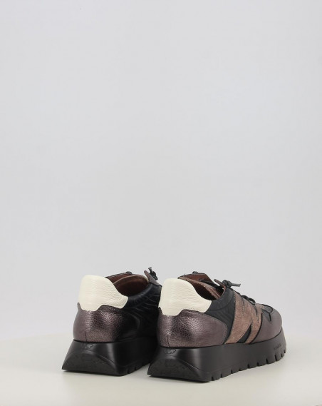 A 2491