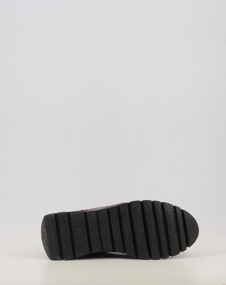 A 2491