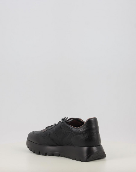 A 2491