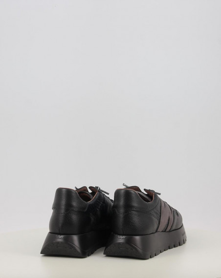 A 2491