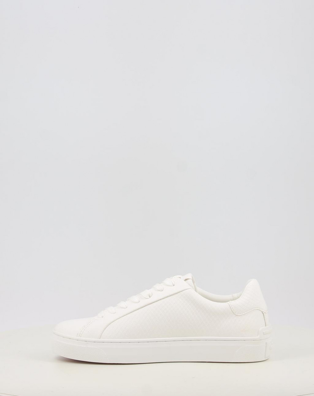 CAMDEN RUMP W PLS00031