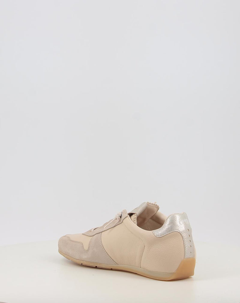 Chaussures de sport CETTI 1379 beige