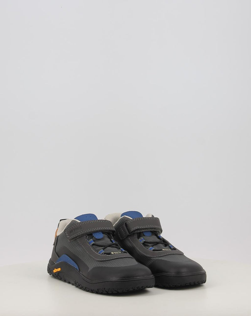 Zapatillas PRIMIGI PYR GTX 2418044 gris