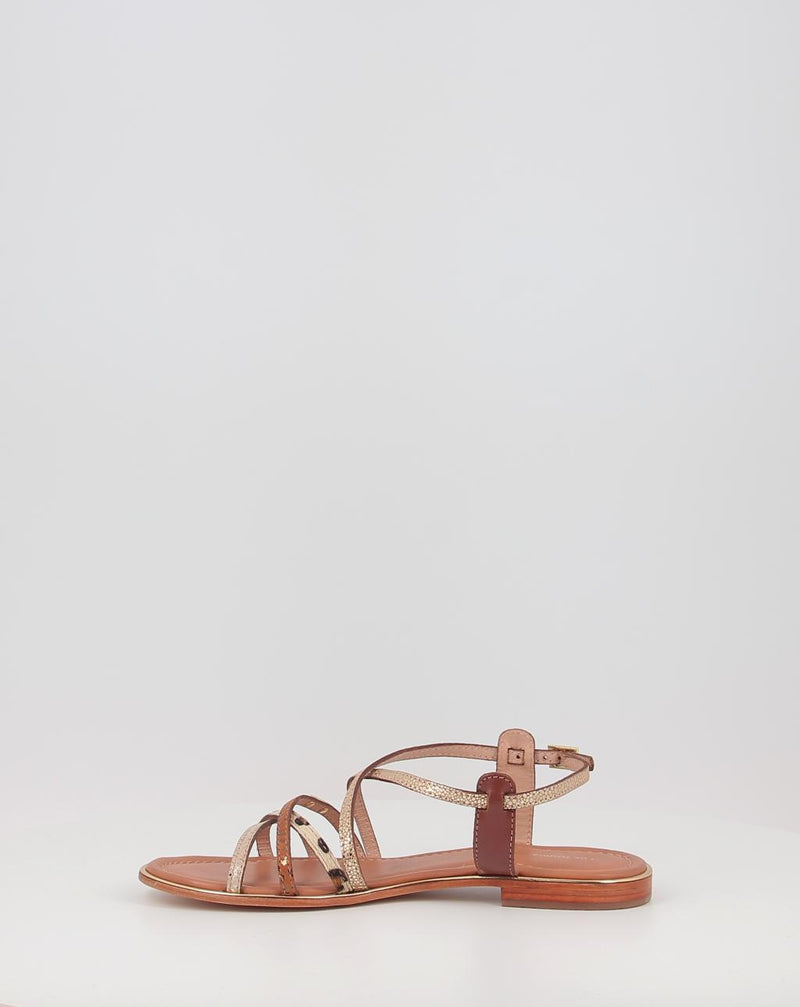 Sandalias LES TROPEZZIENNES HARRY animal print
