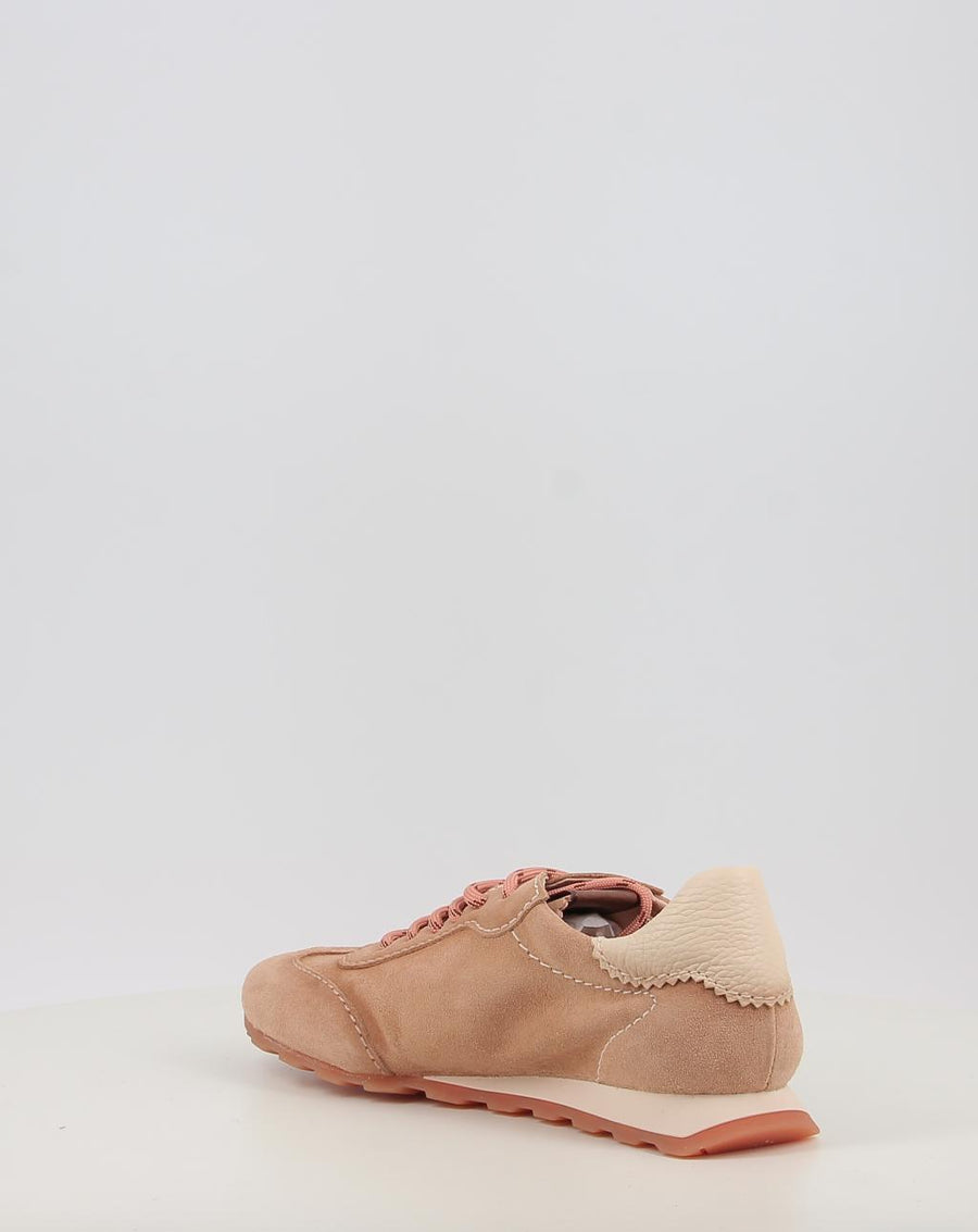 ZINNIA HV264502
