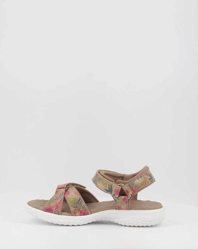 Sandalias PANAMA JACK NOJA TROPICAL B2 taupe