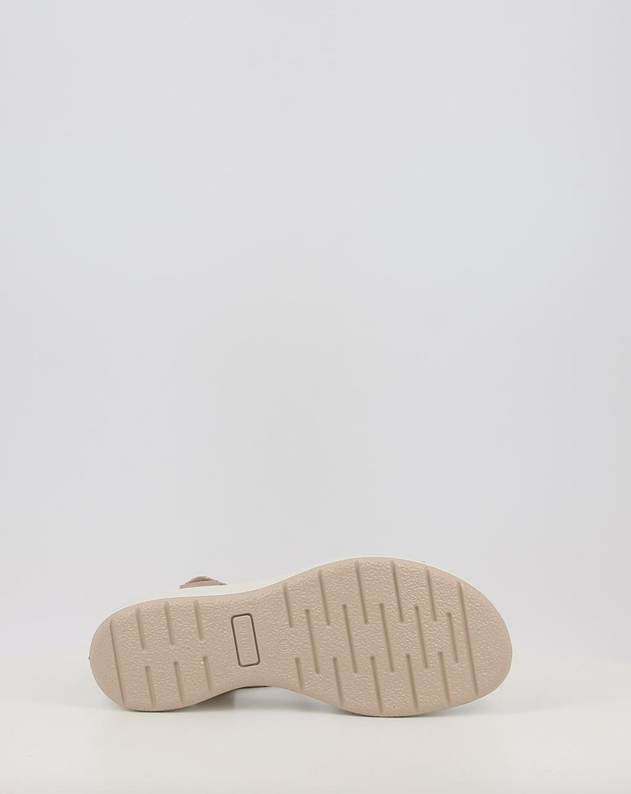 CATERINA 758460