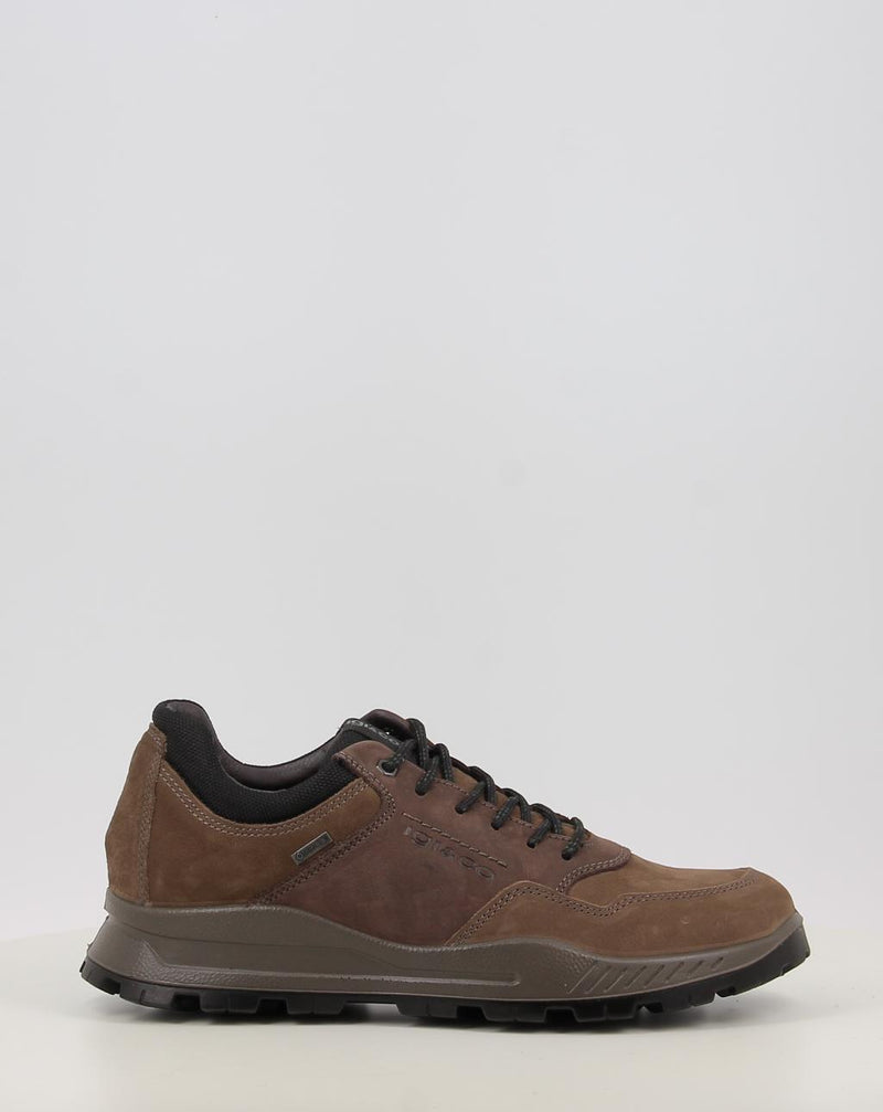 Chaussures IGI & CO U.ELOY GTX 86294 taupe