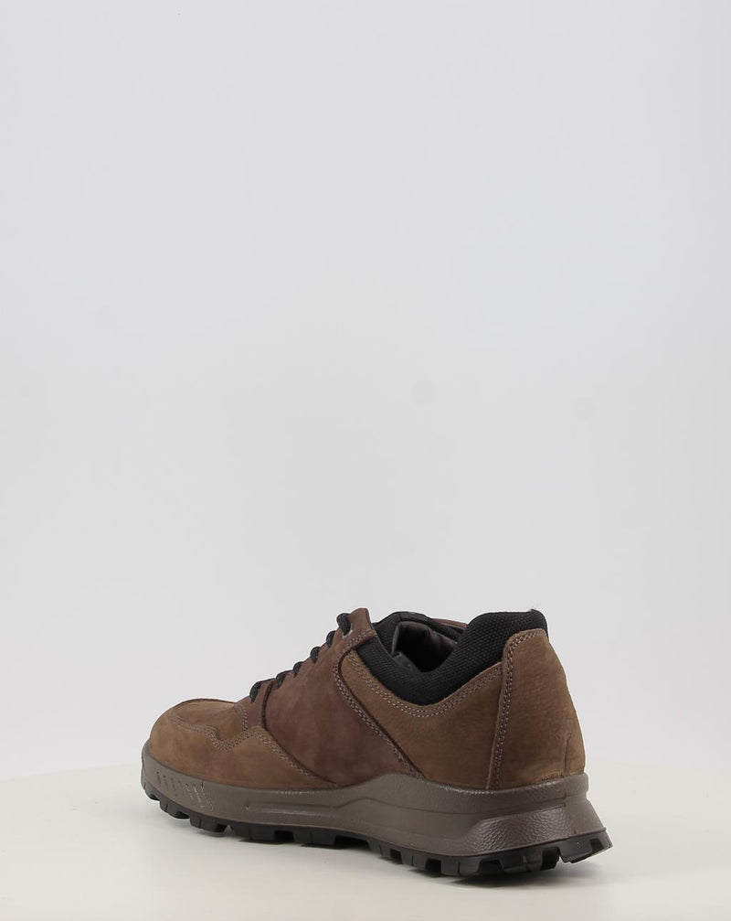 Chaussures IGI & CO U.ELOY GTX 86294 taupe