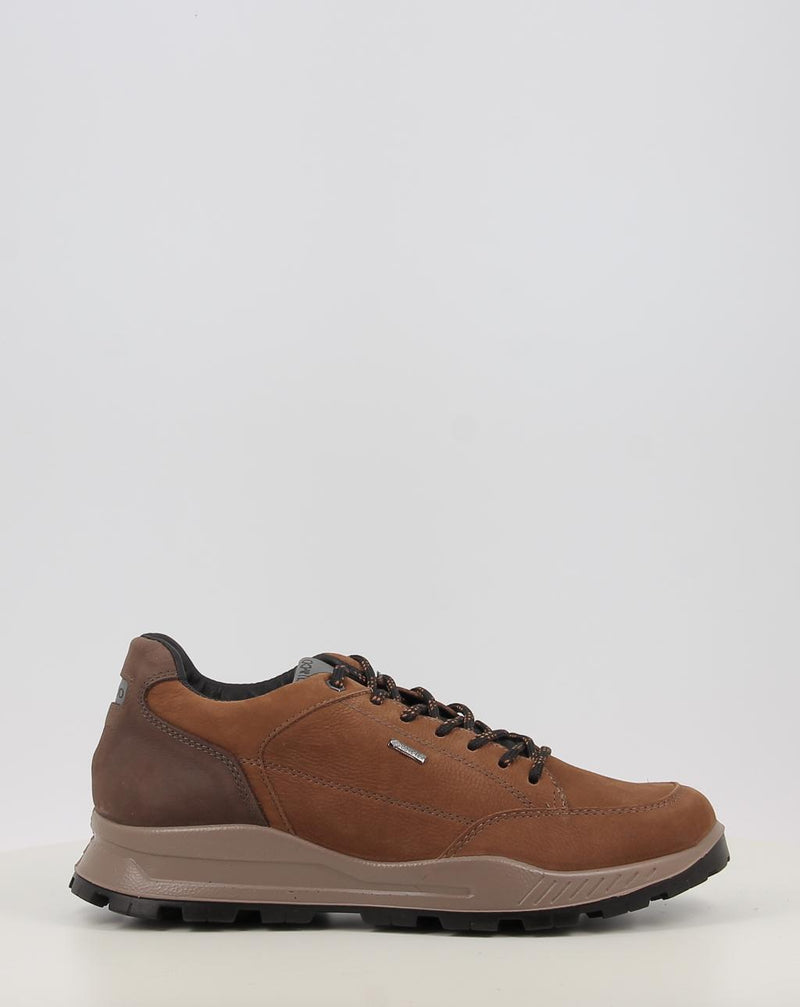 Chaussures IGI & CO U.ELOY GTX 86295 cuir