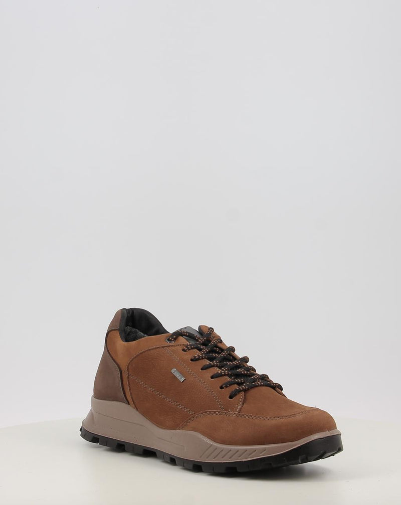 Chaussures IGI & CO U.ELOY GTX 86295 cuir