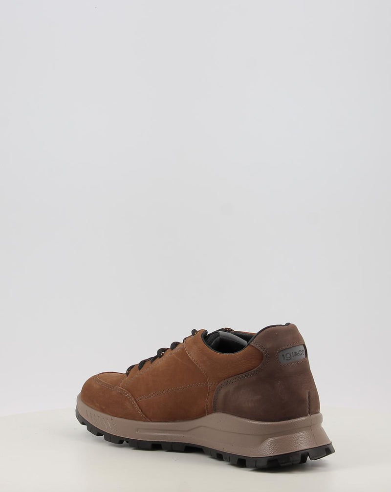 Chaussures IGI & CO U.ELOY GTX 86295 cuir