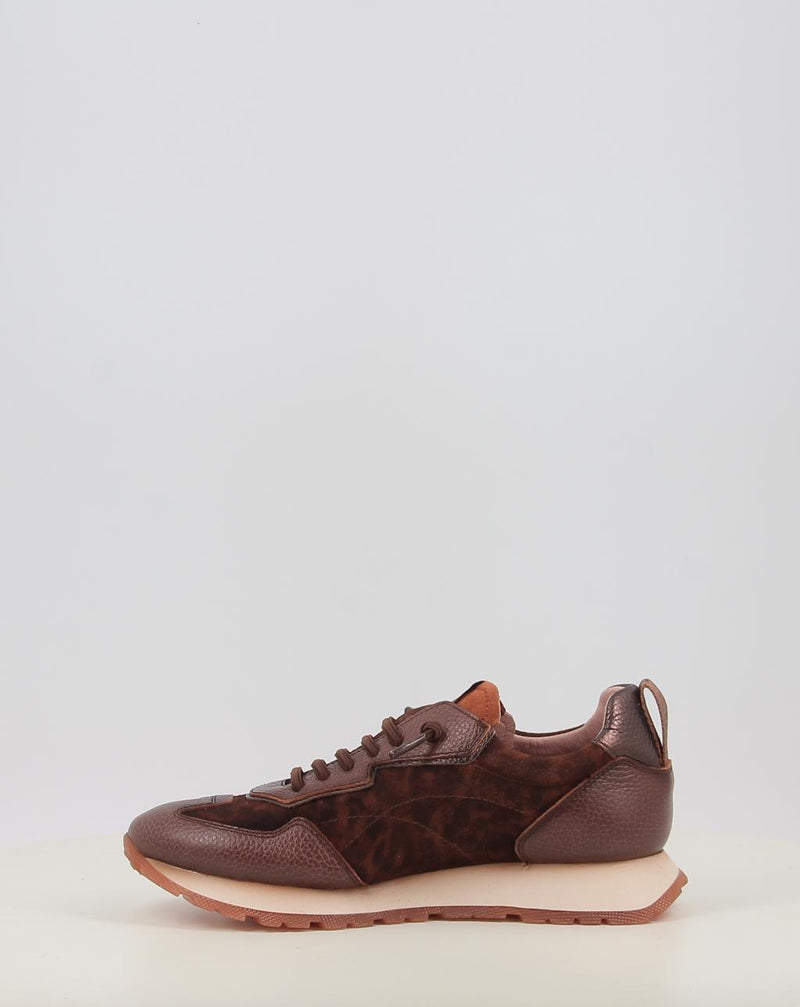 Chaussures de sport HISPANITAS KANSAS CHI254312 marron