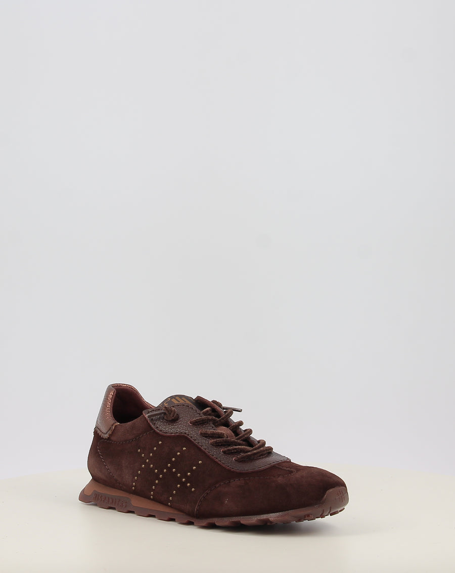 ZINNIA HI264908