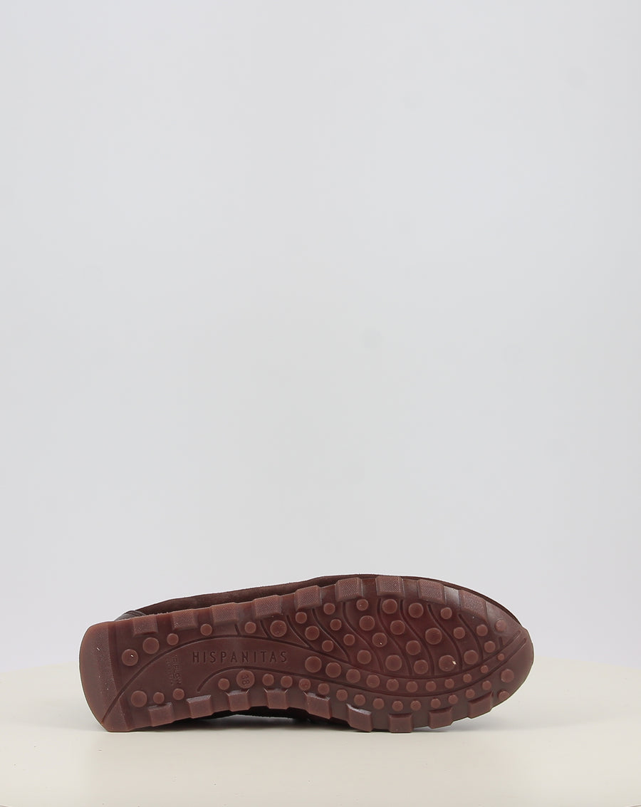 ZINNIA HI264964