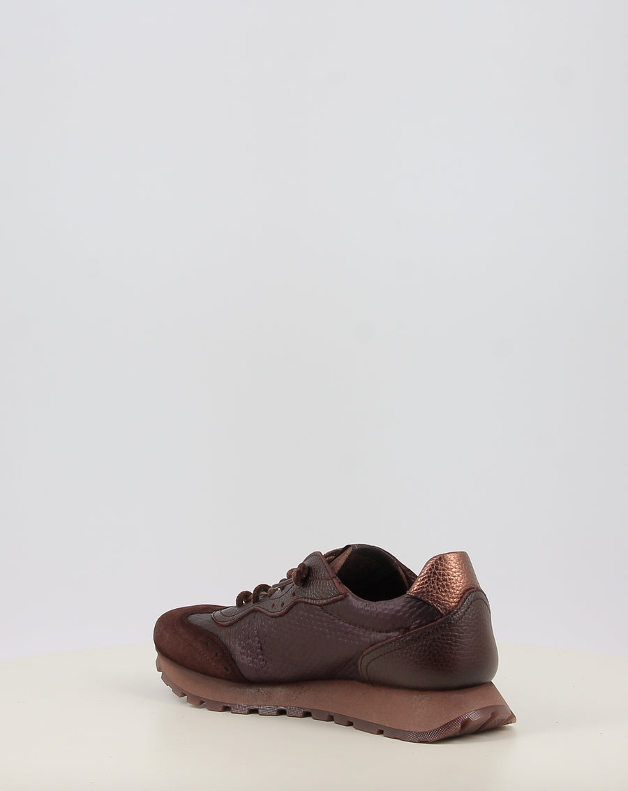 OREGON HI264955